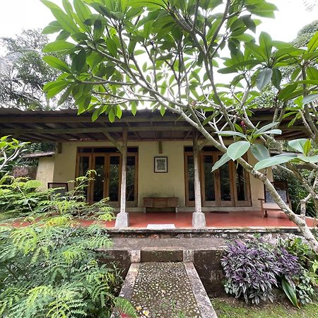 Carik Tangis Boutique Homestay Jatiluwih Ngoại thất bức ảnh