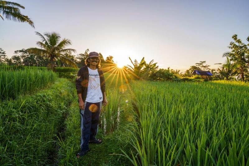 Carik Tangis Boutique Homestay Jatiluwih Ngoại thất bức ảnh