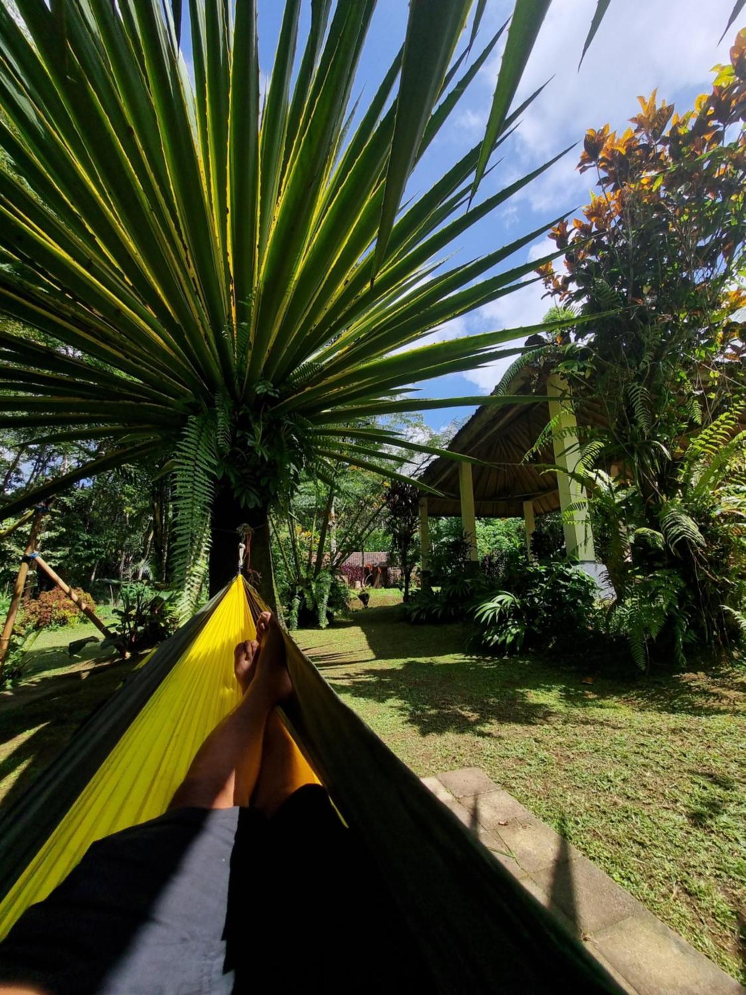 Carik Tangis Boutique Homestay Jatiluwih Ngoại thất bức ảnh
