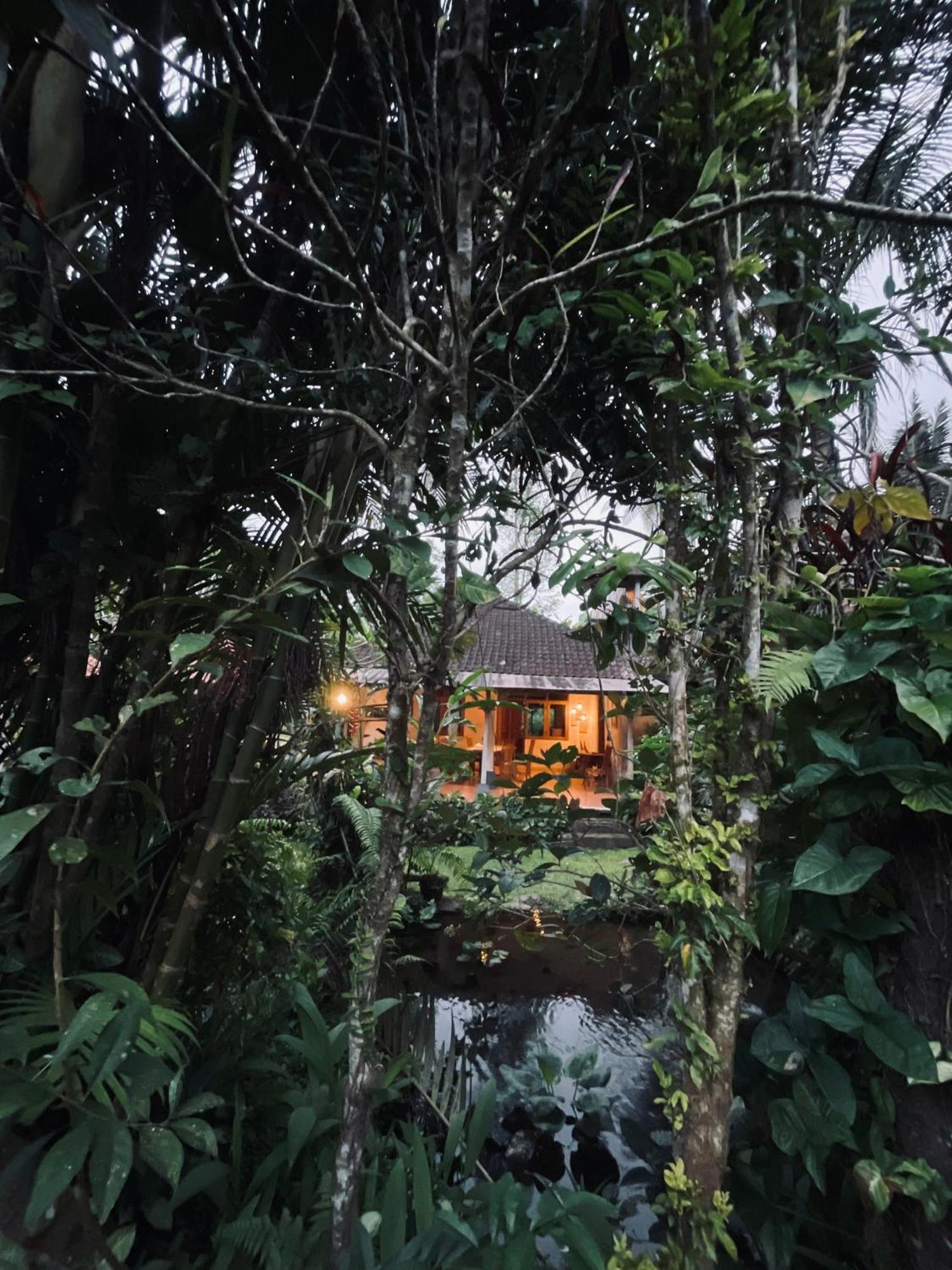 Carik Tangis Boutique Homestay Jatiluwih Ngoại thất bức ảnh