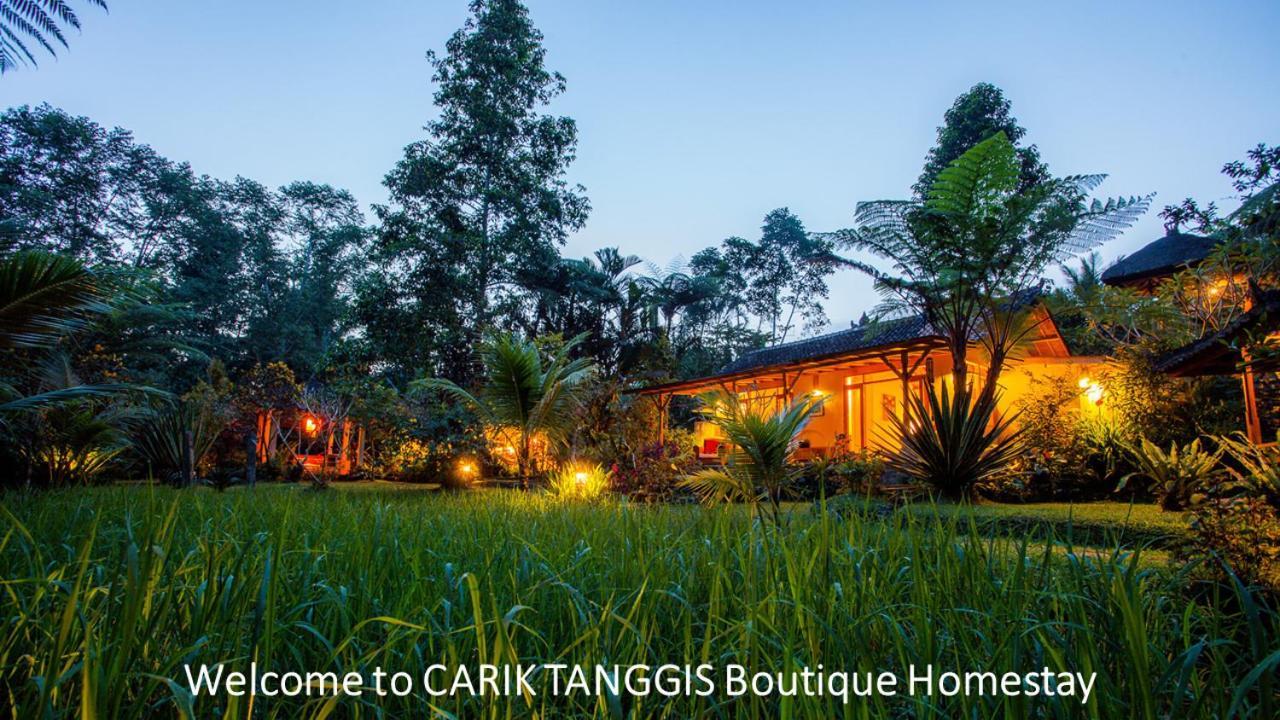 Carik Tangis Boutique Homestay Jatiluwih Ngoại thất bức ảnh